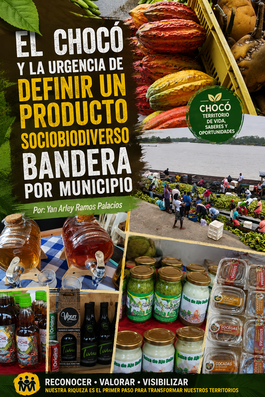 EL CHOCÓ Y LA URGENCIA DE DEFINIR UN PRODUCTO SOCIOBIODIVERSO BANDERA POR MUNICIPIO. Por: Yan Arley Ramos Palacios